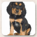 Pesquisar por cão do rottweiler porta copos Animal