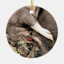 Pesquisar por cama ornamentos Fofofo