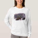 Pesquisar por bisão camisetas Fauna