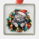 Pesquisar por adormecido ornamentos Cinza