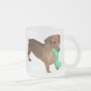 Pesquisar por dachshund diminuto canecas Fotografia