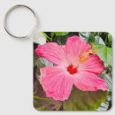 Pesquisar por hibisco chaveiros Jardim