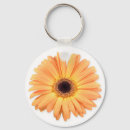 Pesquisar por gerberas chaveiros Flor