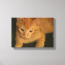 Pesquisar por latas impressão de canvas Bonito