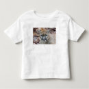 Pesquisar por leão de montanha camisetas Predador
