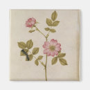 Pesquisar por lagartas imas Flores