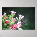Pesquisar por flor de trombeta Animal