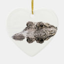 Pesquisar por jacaré para ornamentos Croc