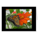 Pesquisar por flor alaranjada cartoes postais Borboletas