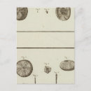 Pesquisar por dezenove cartoes postais Vista