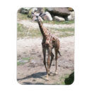 Pesquisar por natural imas Natureza
