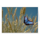 Pesquisar por borboleta monarca azul Insetos