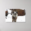 Pesquisar por lobo posters impressão de canvas Neve