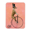 Pesquisar por bike imas Penny farthing
