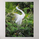 Pesquisar por dança pósteres pôsteres Foto