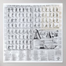 Pesquisar por posturas pôsteres Impressão