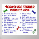 Pesquisar por do yorkshire terrier pôsteres Engraçado