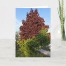 Pesquisar por impar fora cartoes Ímpar