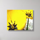 Pesquisar por tulipa amarela impressão de canvas Primavera
