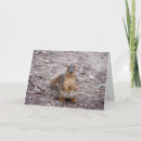 Pesquisar por maluco cartoes Amor