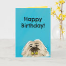 Pesquisar por pekingese cartoes Fofo