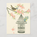 Pesquisar por bird cartoes postais Flor
