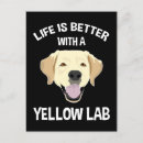 Pesquisar por labrador retriever amarelo cartoes postais Fofo