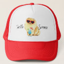 Pesquisar por pom do brinquedo Pomeranian