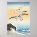 Pesquisar por gaivota de mar pósteres pôsteres Ilustração