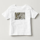 Pesquisar por acer camisetas Oregon