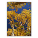 Pesquisar por álamos tremedores cartoes postais Queda