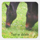 Pesquisar por cavalos adesivos Equino