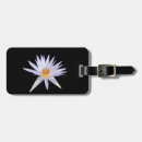 Pesquisar por flor lótus bagagem tags Azul