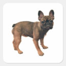 Pesquisar por animal bonito artesanato material Cão