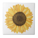 Pesquisar por girassol amarelo azulejos Botânico