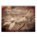 Pesquisar por flora calendarios Natureza