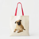 Pesquisar por saco pug bolsas Cachorro