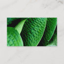 Pesquisar por leaves cartao de visita Folhas