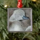 Pesquisar por cigano ornamentos Cigana