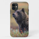 Pesquisar por urso iphone capas Eua