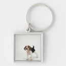 Pesquisar por empresa de pequeno porte chaveiros Amizade