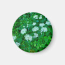 Pesquisar por corno imas Planta