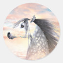 Pesquisar por cavalo appaloosa adesivos Animal