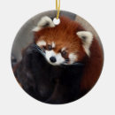 Pesquisar por pandas ornamentos Qualquer pessoa