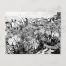 Pesquisar por brazil cartoes postais Vintage