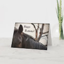 Pesquisar por cavalo feliz cartoes Fotografia