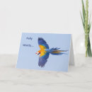Pesquisar por macaw do ouro Animal