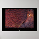 Pesquisar por polvo gigante pôsteres Oceano