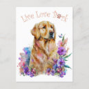 Pesquisar por golden retriever cartoes postais Fofo