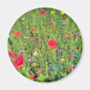 Pesquisar por da papoila imas Flores de papoila